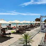 Estrelasdourada Limoeiro * Alvor