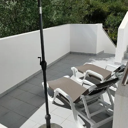 Estrelasdourada Limoeiro Alvor