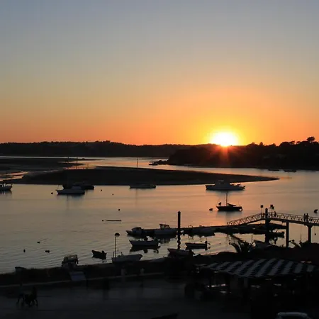 Estrelasdourada Limoeiro *