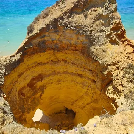 Estrelasdourada Limoeiro شقة *