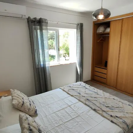 Estrelasdourada Limoeiro *