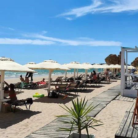 Estrelas Dourada * Alvor