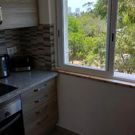 Estrelasdourada Limoeiro *