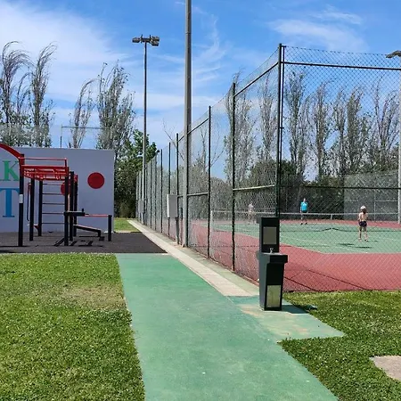 Estrelasdourada Limoeiro * Alvor