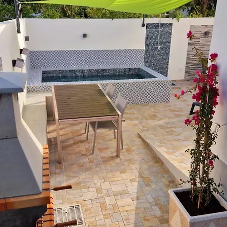 Estrelasdourada Limoeiro *