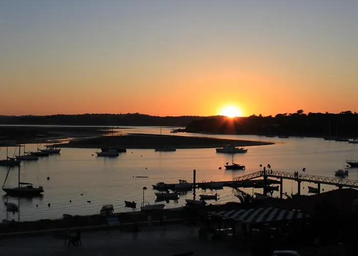 Estrelasdourada Limoeiro *