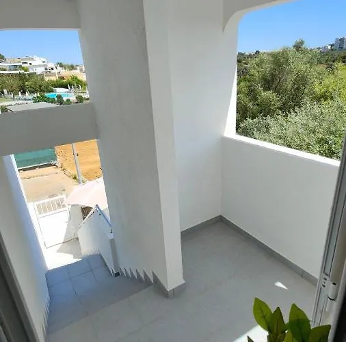 Estrelasdourada Limoeiro *