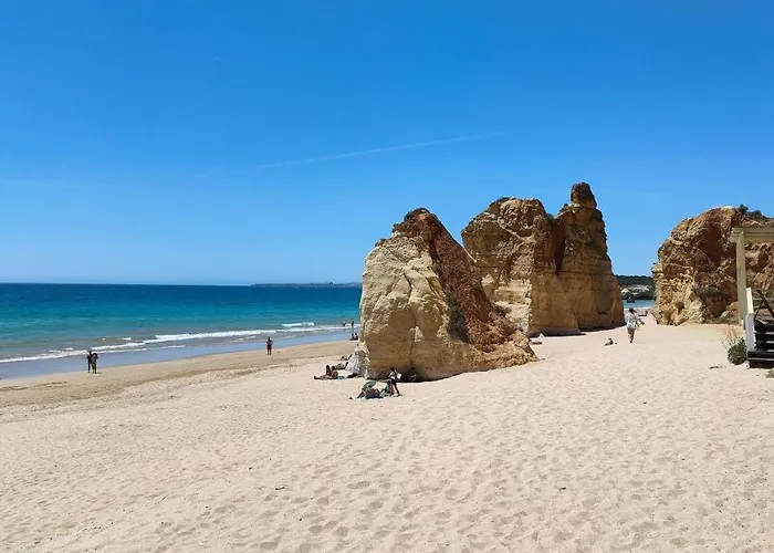 Estrelasdourada Limoeiro אלבור