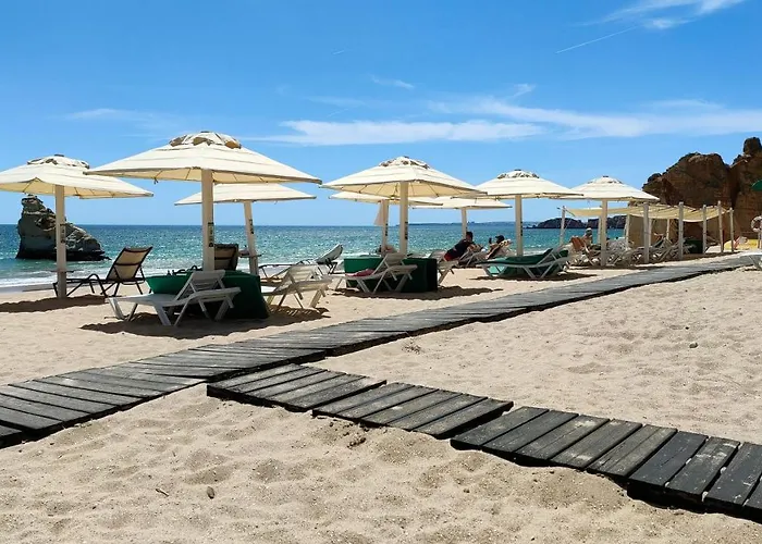 Estrelasdourada Limoeiro