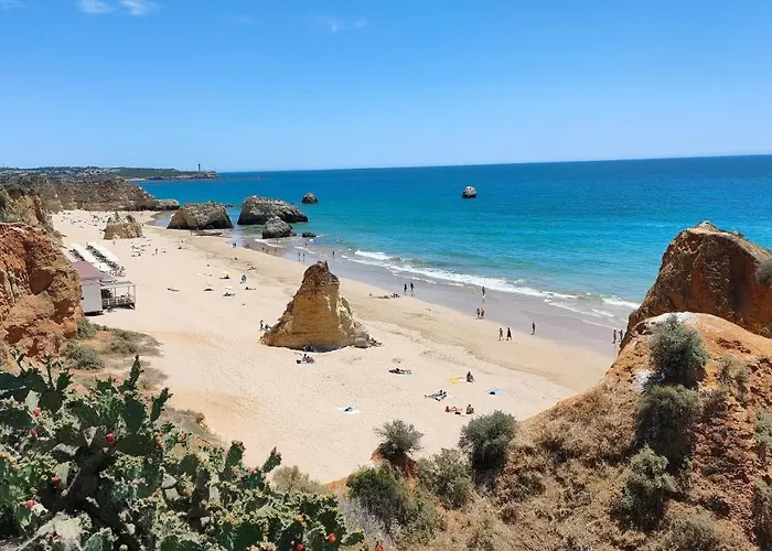 דירה Estrelasdourada Limoeiro אלבור