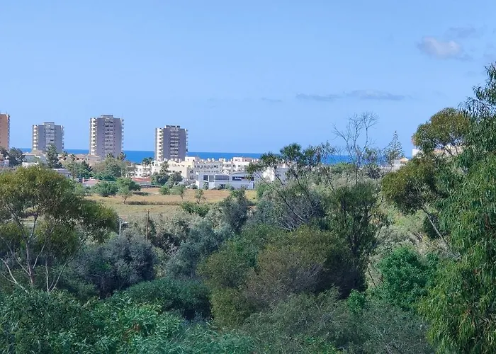 Estrelasdourada Limoeiro דירה *