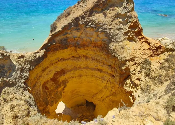 Estrelasdourada Limoeiro דירה *