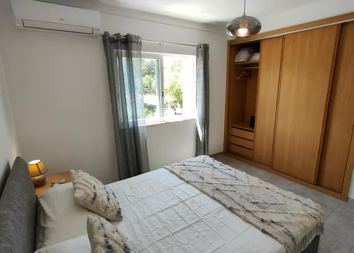 Estrelasdourada Limoeiro *