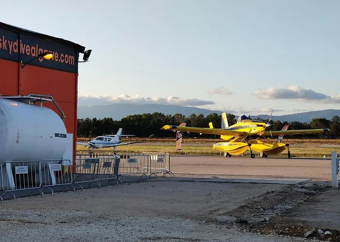 Estrelasdourada Limoeiro * אלבור