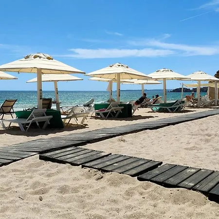 Estrelasdourada Limoeiro